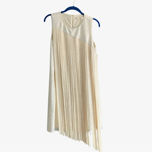 RACHEL Rachel Roy Champagne Fringe Tassel Dress, EUC - Picture 2 of 15